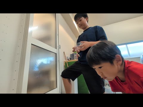 またカエルくんがお泊りにやってきたので兄にカエルくんの晩御飯を捕まえてもらうどんちゃん　幼稚園で飼育中のカエルくん　#2142