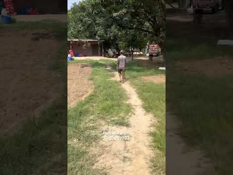 मॉल की delivery 🚚