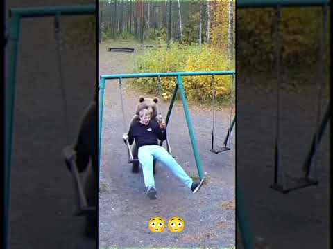 What a pleasant surprise from the bear