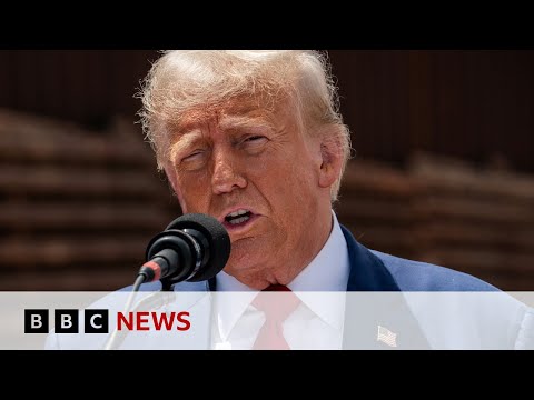 Donald Trump attacks Kamala Harris’s record as ‘border tsar’ as DNC enters final day | BBC News