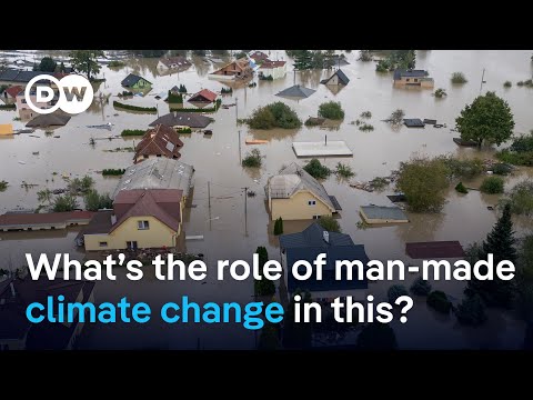Central Europe under water | DW News
