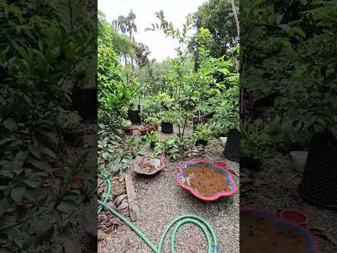 Main റോഡിൽ നിന്ന് 200 മീറ്റർ 1650 sqft വീട് 3 bhk വീട് #kottayam #pala #paika #ponkunnam #ernakulam