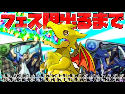 【最強の神引き】新フェス限"2体"出るまでムラコレ引いた結果ｗｗｗｗｗｗ【パズドラ】