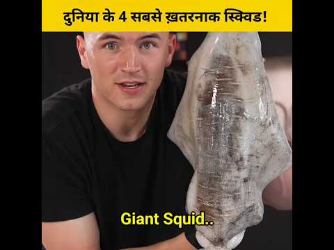 दुनिया के 4 सबसे ख़तरनाक स्क्विड! #shorts #animalfacts
