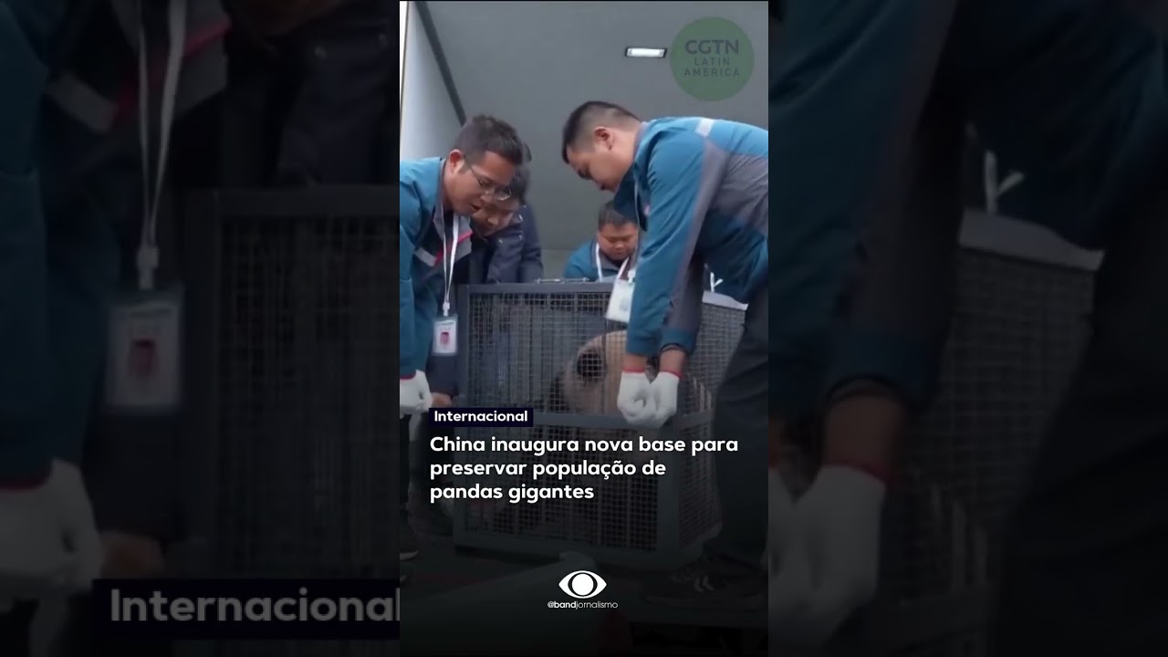 China inaugura nova base para preservar população de pandas gigantes