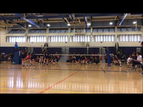 VB highlight 121172