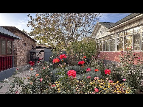 Часть 2. Ленгер 20 соток! 2 дома! 