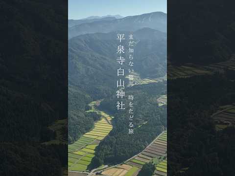 まだ知らない福井｜時をたどる旅「平泉寺白山神社」 #shorts