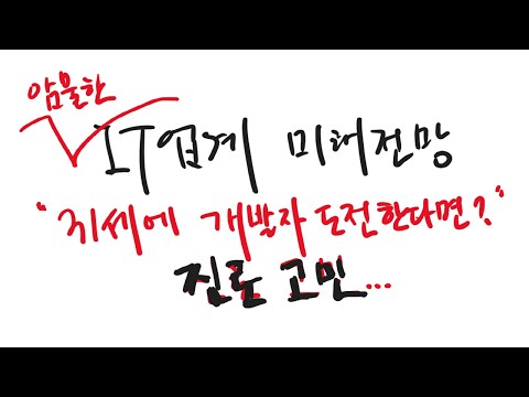 지금이라도 개발자? | 앞으로 어떻게 살아 남을 지 | 25년 생존자 소신발언 | 과거 라때 시절