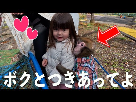 お猿さんを公園に連れて行ったら女の子にガチ恋して大変なことに…