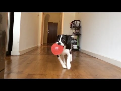 iPhone 5s: Slo-Mo Camera Test - UCMgCvJ3_QahXgvwj6LjOd-w