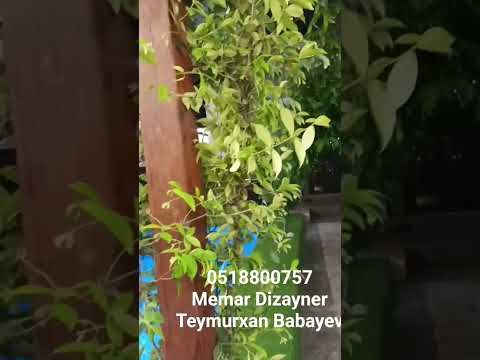 Construction and repair of courtyard houses.Həyət evləri tikinti təmiri 022.#keşfet #construction