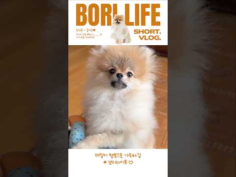 인형놀이 할사람~~~