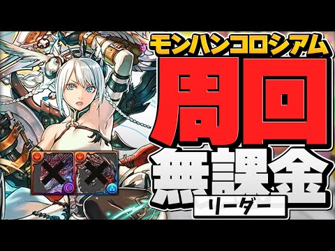 無課金リーダーで激ウマ報酬ゲット！周回編成２パターン！モンスターハンター重要調査クエスト コロシアム【パズドラ】