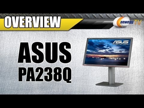 Newegg TV: ASUS PA Series PA238Q LED Backlight Widescreen LCD Monitor Overview - UCJ1rSlahM7TYWGxEscL0g7Q