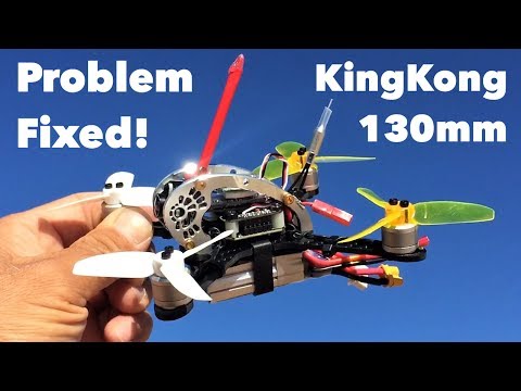 KINGKONG FLY EGG 130 JST CONNECTOR, 2S AND 3S - UC9l2p3EeqAQxO0e-NaZPCpA