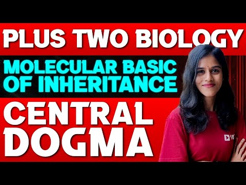 Plus Two Biology | Molecular Basic Of Inheritance | Central Dogma | Exam Winner