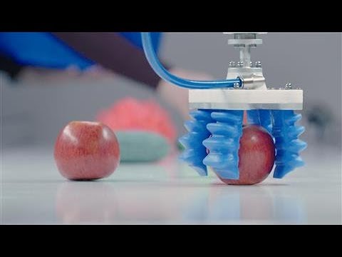 What Picking Up an Apple Tells You About the Future of Robotics - UCK7tptUDHh-RYDsdxO1-5QQ