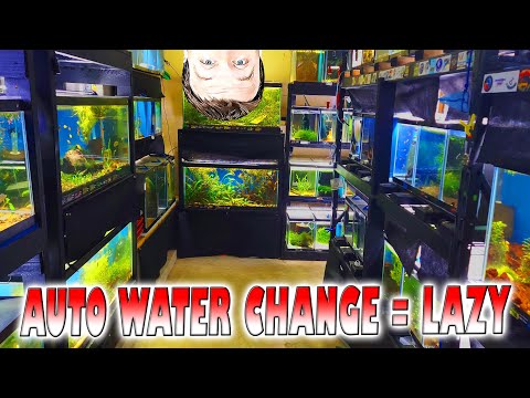 Auto Water Change System - Does it make you lazy?? Let's talk about having an auto water change systems and how great it is but also how it can make yo