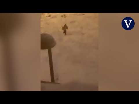 Un grupo de ladrones saquea un camión cargado de comida que quedó atrapado en la nieve