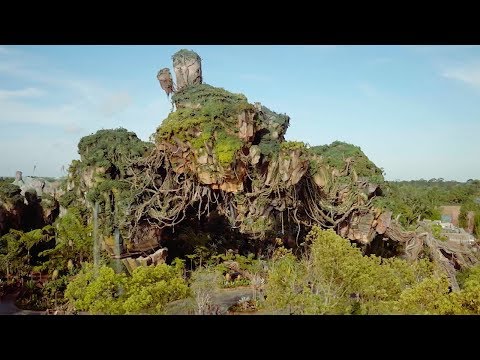 5 Tips for Exploring Pandora – The World of Avatar at Walt Disney World | Expedia - UCGaOvAFinZ7BCN_FDmw74fQ