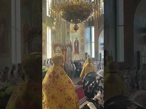 Тон деспотин. С. Трубачев