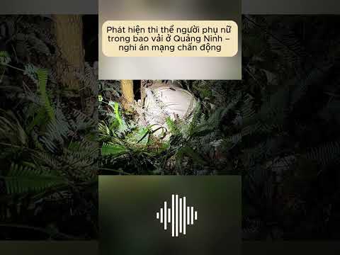 Phát hiện thi thể người phụ nữ trong bao vải ở Quảng Ninh – nghi án mạng chấn động