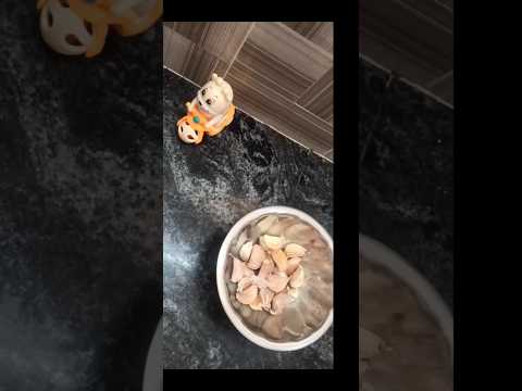 இஞ்சி பூண்டு உரிக்கறது இவ்ளோ ஈஸியா #gingergarlicpasterecipe #easy #idea #peeling #tips #shorts