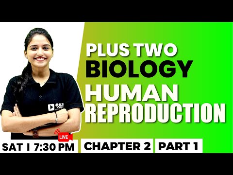 Plus Two Biology | Human Reproduction Part 1 | Chapter 2 | Exam Winner +2 | +2