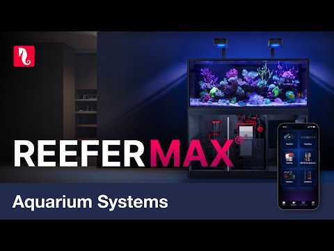 The REEFER MAX G3 series - Plug & Play smart reef systems