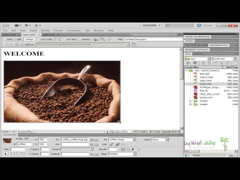Adobe Dreamweaver cs5- 016-image Placeholder and Rollover image