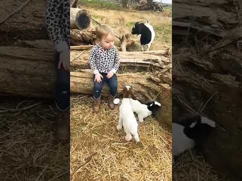 Cute baby 😍#cute #animals #shortvideo