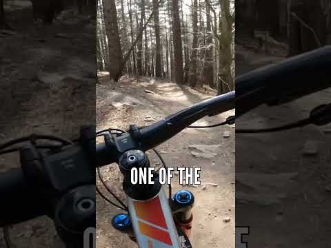 Riding Any Mountain Bike Beats Not Riding A Bike At All!