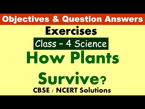 How Plants Survive? | Class:4 Science | Exercises and Question Answers| CBSE/NCERT | MCQ's