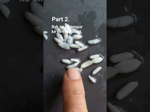Daily life#penasaran#apakah ia beras palsu..? #shortvideo