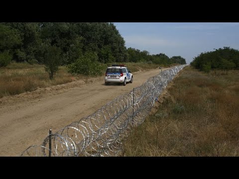 Migranti, sparatoria al confine tra Serbia e Ungheria. Tre le persone uccise