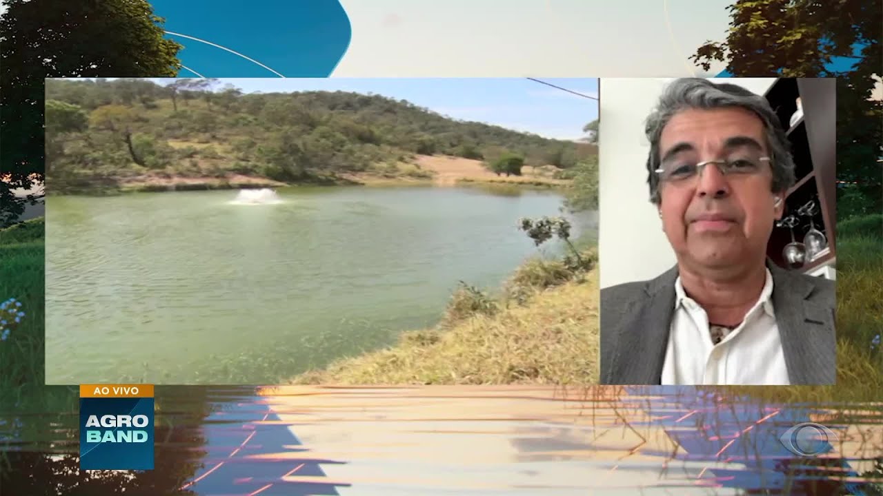 Promessas do governo não chegaram ao setor diz presidente da PeixeBR