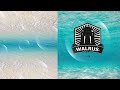 MV เพลง เฝ้ารอเฝ้าคอย - WALRUS