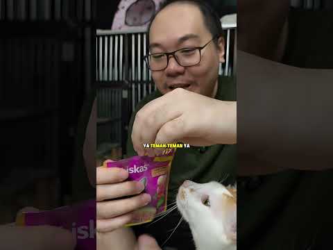 review wetfood kucing whiskas tasty mix