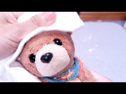 ぬいぐるみシャンプー Stuffed animal shampoo