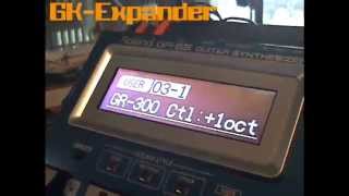 GK-Expander Roland GR-55 VG-99 GK-3 Guitar Synthesizer