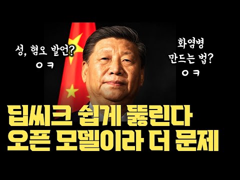 성, 혐오발언, 폭탄 제조 방법까지... 딥씨크, 무방비 상태로 풀렸다 | 탈옥 공격 대부분 통과 못해 우려 | DDoS 사태 | 안전 포기하고 성능 올렸을 가능성