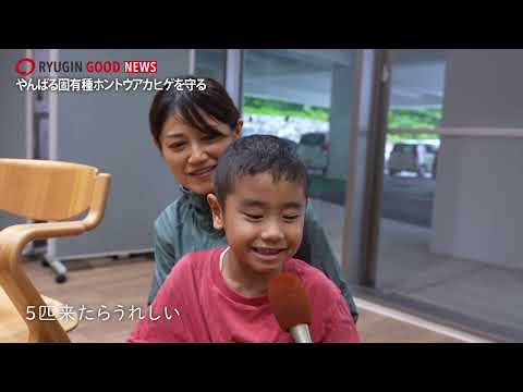RYUGIN GOOD NEWS　GOOD351