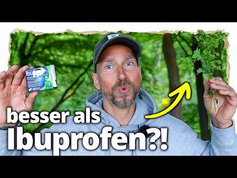 Besser als Ibuprofen? Diese Heilpflanze ist einfach STARK! Besser als Ibuprofen? Diese Heilpflanze ist einfach STARK!