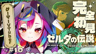 🎮【 ゼルダの伝説 ティアーズ オブ ザ キングダム #10 】完全初見！ハイラル城突撃前にサブクエを少しやりたいの巻‪‪‪ #ティアキン 