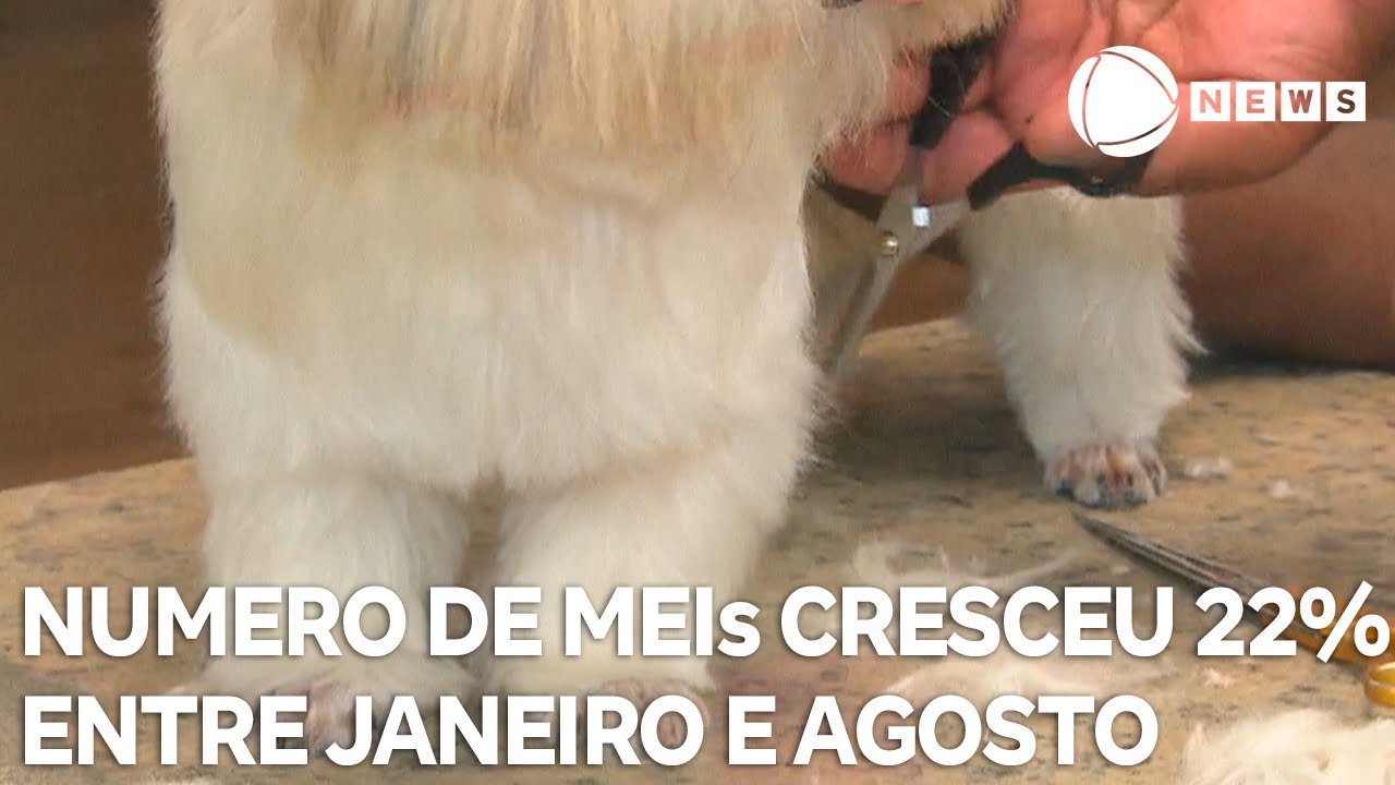 Número de MEIs cresceu 22 entre janeiro e agosto desse ano