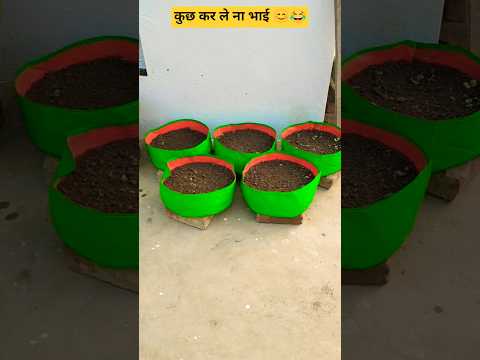 कुछ कर लो ना भाई 😊😂♥️#garden #shorts #viralvideo 😂♥️😊