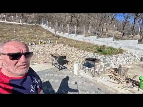 PESTE DE PE FRONT SI DOI PUI DE LA GRENOBLE