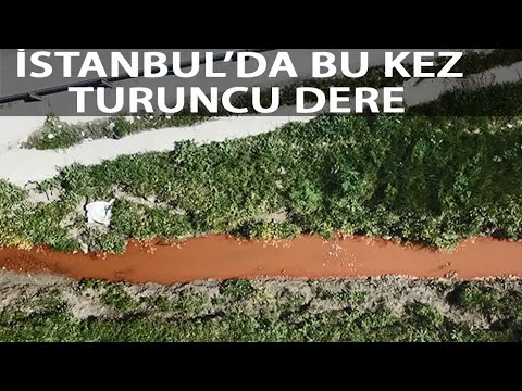 Tarlalar Arasından Geçiyor, Hayvanlar Otluyor
