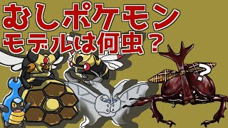 虫ポケモンのモデルを考察[Vカブトムシの虫語り 第4回][016匹目]